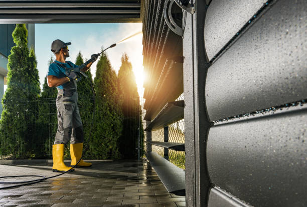 Best Graffiti Removal  in Walbridge, OH